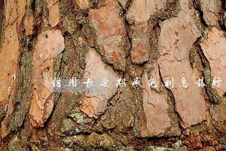信用卡逾期减免利息银行 信用卡逾期减免利息银行