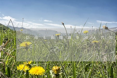 信用卡逾期减免别人代签字 信用卡逾期减免别人代签字