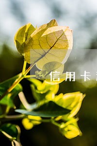 信用卡逾期减免只有一次吗 信用卡逾期减免只有一次吗