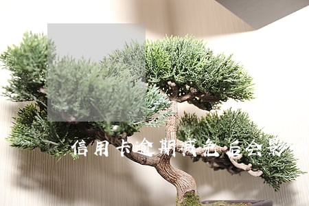 信用卡逾期减免后会影响吗 信用卡逾期减免后会影响吗