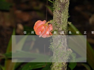 信用卡逾期减免和正常有什么区别