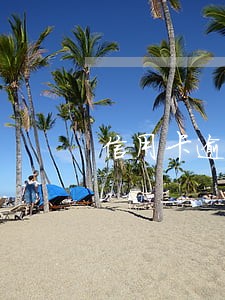 信用卡逾期减免多少利息违约金 信用卡逾期减免多少利息违约金