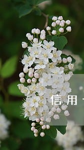 信用卡逾期减免找街道盖章 信用卡逾期减免找街道盖章