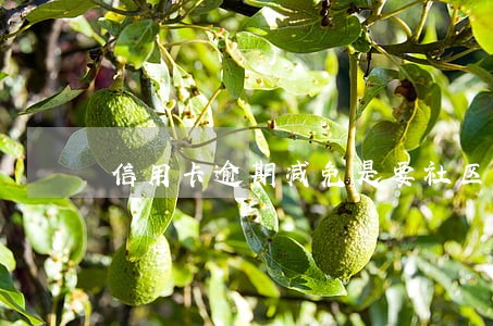 信用卡逾期减免是要社区盖章