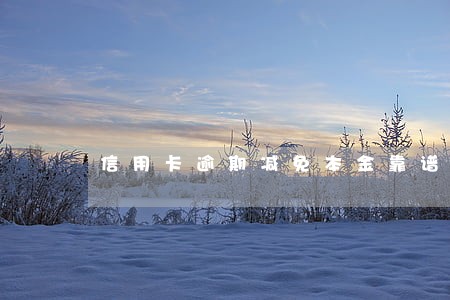 信用卡逾期减免本金靠谱吗 信用卡逾期减免本金靠谱吗
