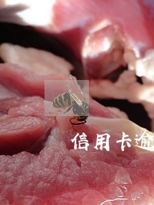 信用卡逾期减免清零 信用卡逾期减免清零