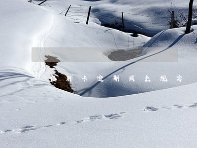 信用卡逾期减免规定 信用卡逾期减免规定