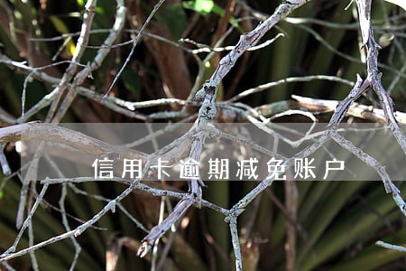信用卡逾期减免账户 信用卡逾期减免账户