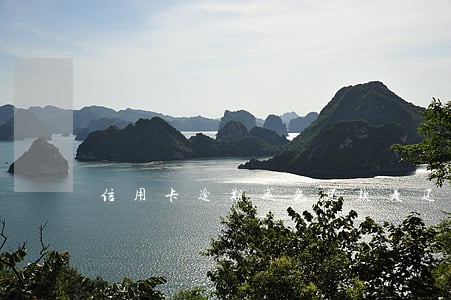 信用卡逾期减免还款是还到哪