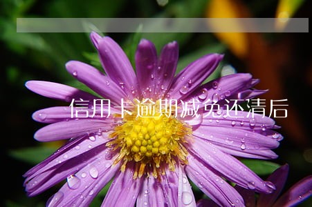 信用卡逾期减免还清后 信用卡逾期减免还清后