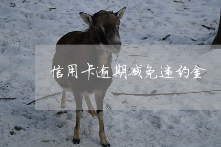 信用卡逾期减免违约金 信用卡逾期减免违约金