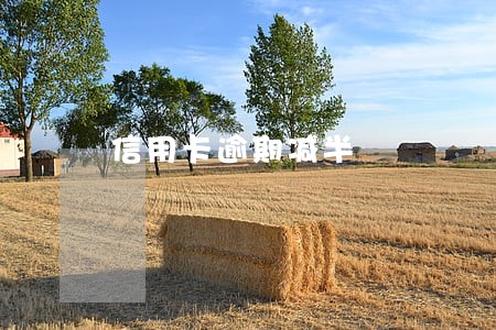 信用卡逾期减半 信用卡逾期减半