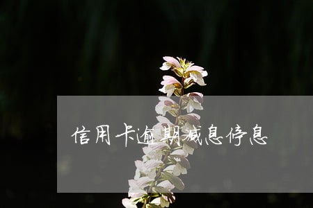 信用卡逾期减息停息 信用卡逾期减息停息