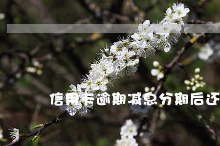 信用卡逾期减息分期后还不上 信用卡逾期减息分期后还不上