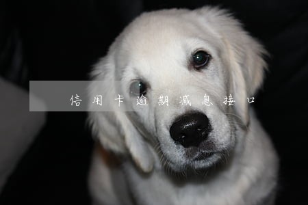 信用卡逾期减息接口 信用卡逾期减息接口