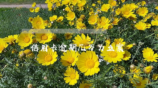 信用卡逾期几万力立案