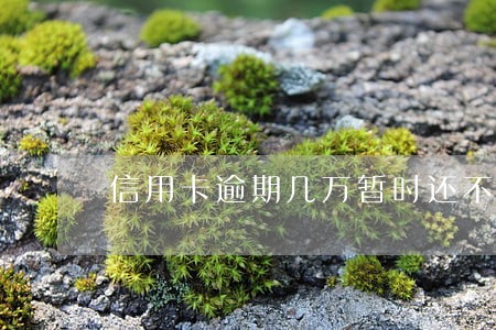 信用卡逾期几万暂时还不上怎么解决 信用卡逾期几万暂时还不上怎么解决