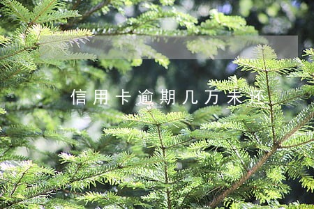 信用卡逾期几万未还 信用卡逾期几万未还