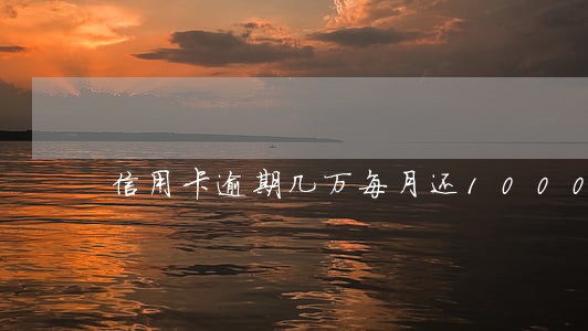 信用卡逾期几万每月还1000