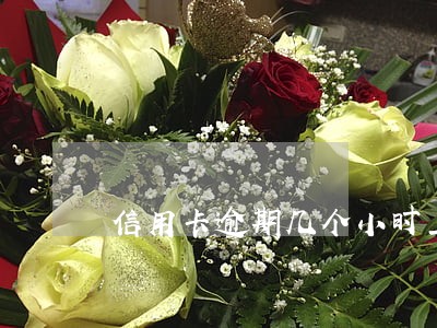 信用卡逾期几个小时上征信吗 信用卡逾期几个小时上征信吗