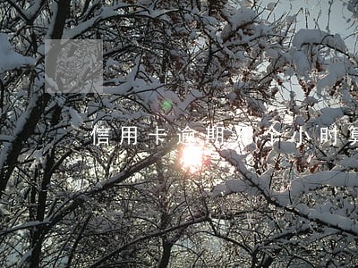 信用卡逾期几个小时算么 信用卡逾期几个小时算么