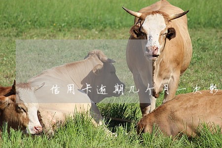 信用卡逾期几个月一次影响征信吗 信用卡逾期几个月一次影响征信吗