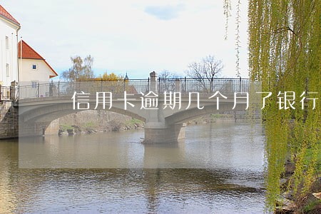 信用卡逾期几个月了银行不肯协商