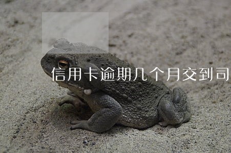 信用卡逾期几个月交到司法部门 信用卡逾期几个月交到司法部门