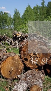 信用卡逾期几个月会一下还清 信用卡逾期几个月会一下还清
