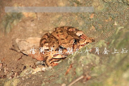 信用卡逾期几个月会上征信6 信用卡逾期几个月会上征信6