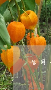 信用卡逾期几个月会上法庭