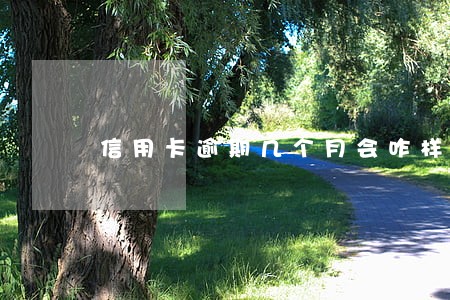 信用卡逾期几个月会咋样 信用卡逾期几个月会咋样