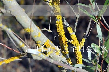 信用卡逾期几个月会怎么办 信用卡逾期几个月会怎么办