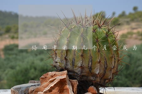 信用卡逾期几个月会成为黑户 信用卡逾期几个月会成为黑户