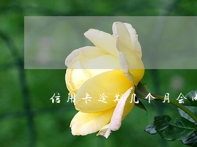 信用卡逾期几个月会成黑户 信用卡逾期几个月会成黑户