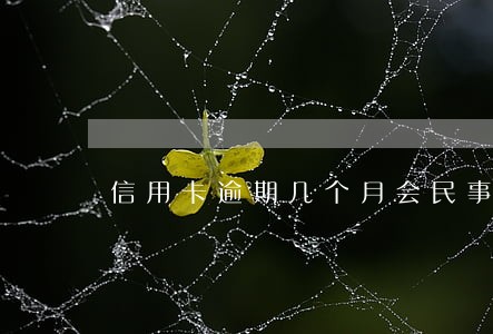 信用卡逾期几个月会民事诉讼