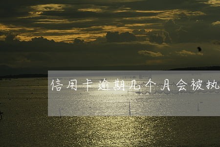 信用卡逾期几个月会被执行吗 信用卡逾期几个月会被执行吗