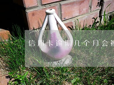 信用卡逾期几个月会被黑户 信用卡逾期几个月会被黑户