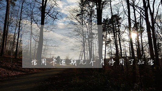 信用卡逾期几个月停用了征信 信用卡逾期几个月停用了征信