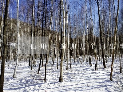 信用卡逾期几个月出事