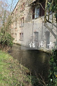 信用卡逾期几个月后会无息