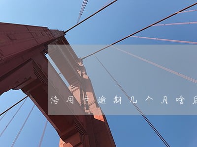 信用卡逾期几个月啥后果 信用卡逾期几个月啥后果