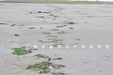 信用卡逾期几个月成黑名单