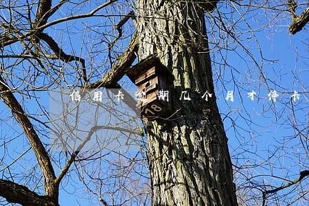信用卡逾期几个月才停卡 信用卡逾期几个月才停卡