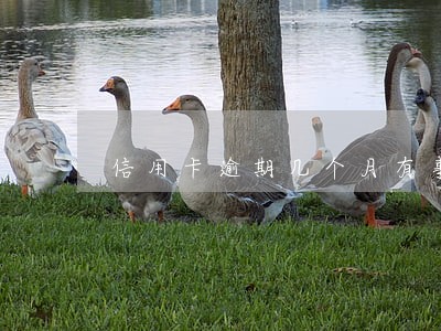 信用卡逾期几个月有事 信用卡逾期几个月有事