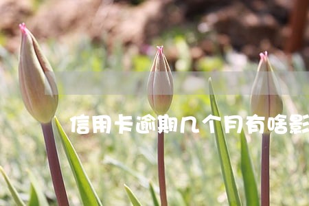 信用卡逾期几个月有啥影响吗