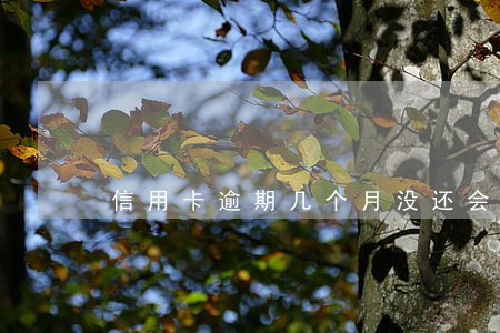 信用卡逾期几个月没还会怎样 信用卡逾期几个月没还会怎样