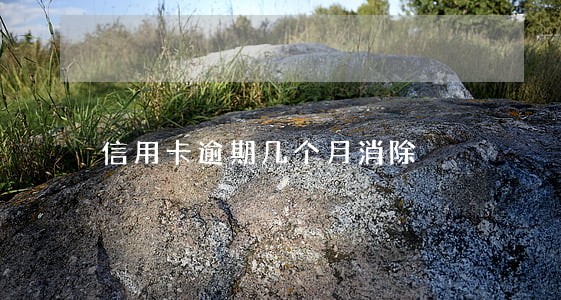 信用卡逾期几个月消除 信用卡逾期几个月消除