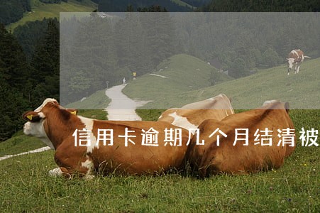 信用卡逾期几个月结清被销户 信用卡逾期几个月结清被销户