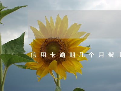 信用卡逾期几个月被上诉 信用卡逾期几个月被上诉